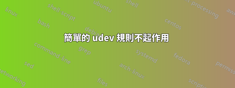 簡單的 udev 規則不起作用