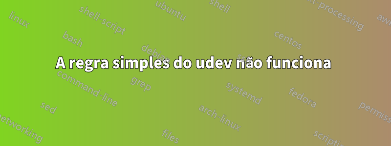 A regra simples do udev não funciona