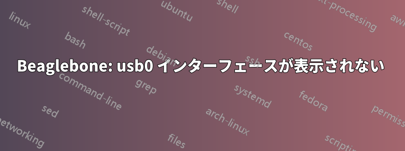 Beaglebone: usb0 インターフェースが表示されない