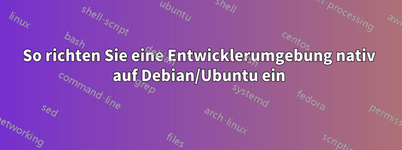 So richten Sie eine Entwicklerumgebung nativ auf Debian/Ubuntu ein