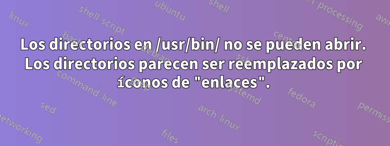 Los directorios en /usr/bin/ no se pueden abrir. Los directorios parecen ser reemplazados por íconos de "enlaces".