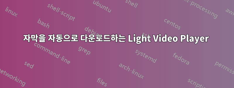 자막을 자동으로 다운로드하는 Light Video Player