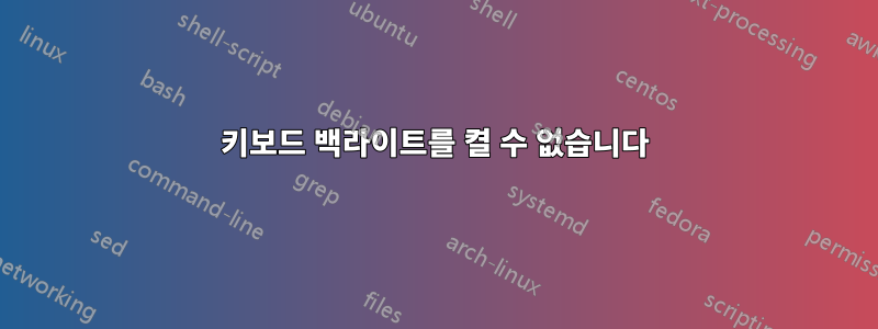 키보드 백라이트를 켤 수 없습니다