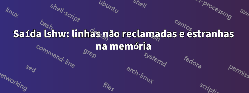 Saída lshw: linhas não reclamadas e estranhas na memória