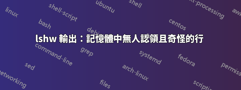 lshw 輸出：記憶體中無人認領且奇怪的行