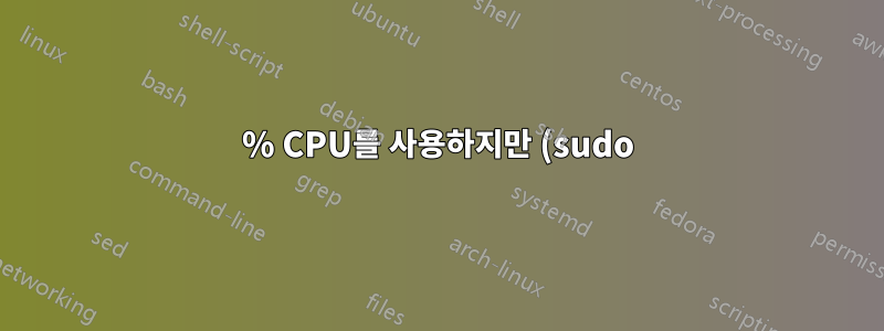 100% CPU를 사용하지만 (sudo) 상단에 표시되지 않는 것은 무엇입니까?
