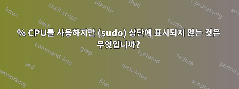 100% CPU를 사용하지만 (sudo) 상단에 표시되지 않는 것은 무엇입니까?