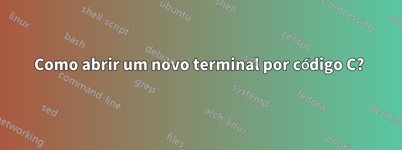 Como abrir um novo terminal por código C?