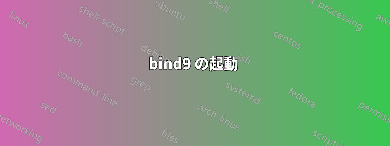 bind9 の起動