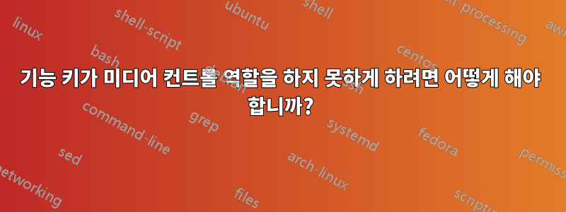 기능 키가 미디어 컨트롤 역할을 하지 못하게 하려면 어떻게 해야 합니까?