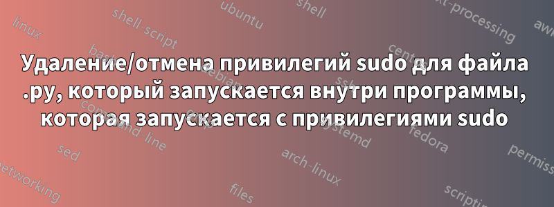 Удаление/отмена привилегий sudo для файла .py, который запускается внутри программы, которая запускается с привилегиями sudo