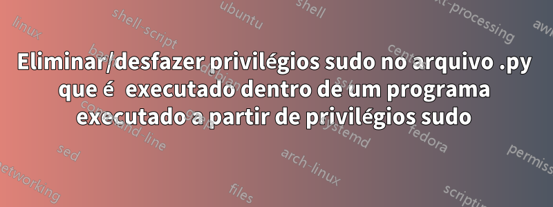 Eliminar/desfazer privilégios sudo no arquivo .py que é executado dentro de um programa executado a partir de privilégios sudo