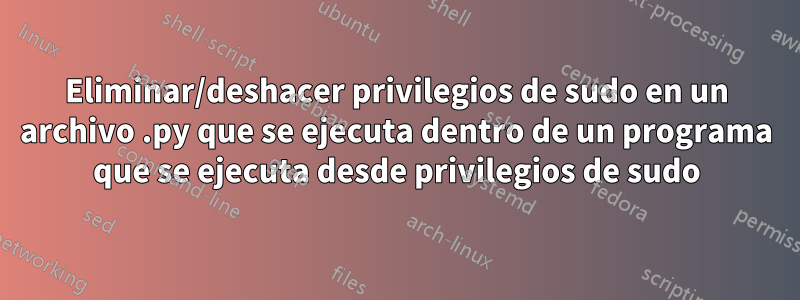 Eliminar/deshacer privilegios de sudo en un archivo .py que se ejecuta dentro de un programa que se ejecuta desde privilegios de sudo