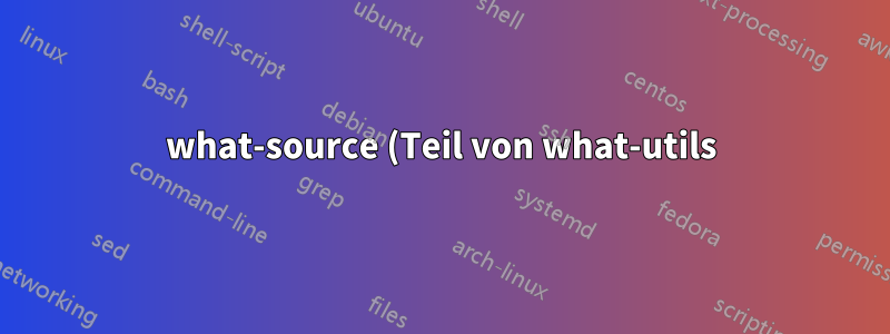 what-source (Teil von what-utils) gibt den Paketnamen zweimal zurück