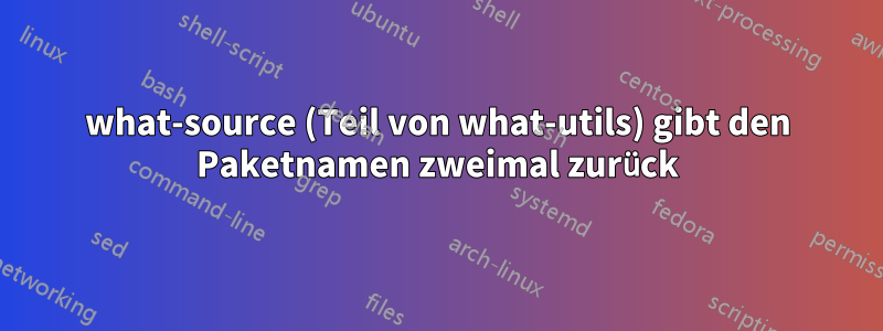 what-source (Teil von what-utils) gibt den Paketnamen zweimal zurück