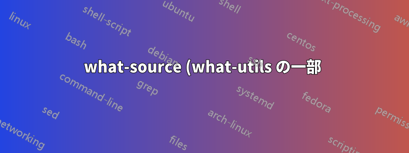 what-source (what-utils の一部) はパッケージ名を 2 回返します。