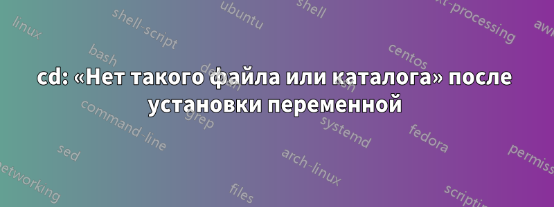 cd: «Нет такого файла или каталога» после установки переменной