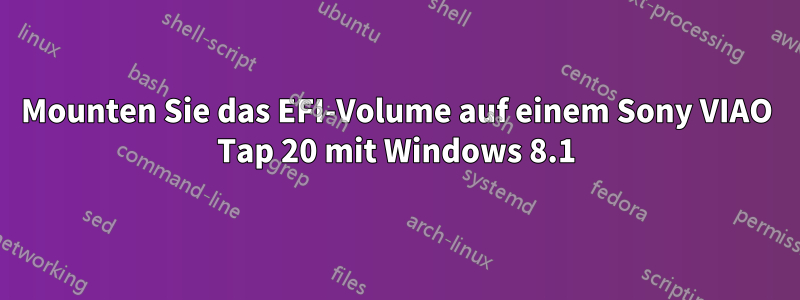 Mounten Sie das EFI-Volume auf einem Sony VIAO Tap 20 mit Windows 8.1