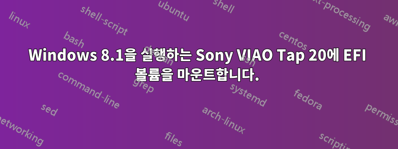 Windows 8.1을 실행하는 Sony VIAO Tap 20에 EFI 볼륨을 마운트합니다.