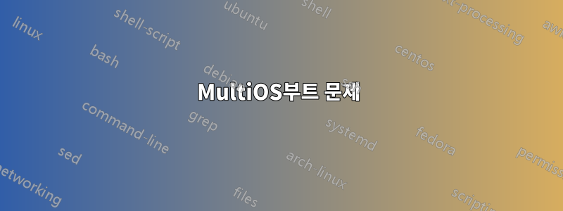 MultiOS부트 문제