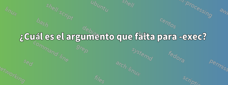 ¿Cuál es el argumento que falta para -exec?