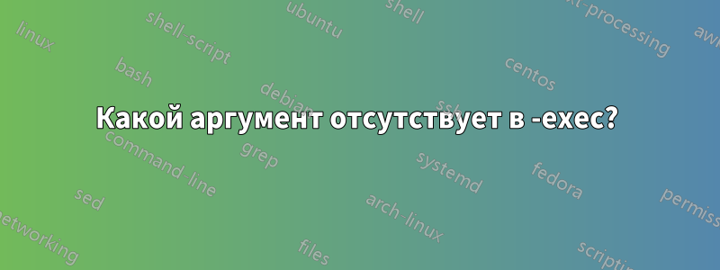 Какой аргумент отсутствует в -exec?