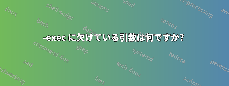 -exec に欠けている引数は何ですか?