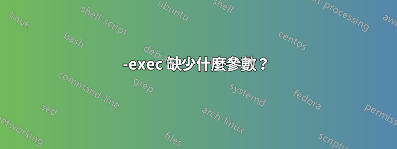 -exec 缺少什麼參數？