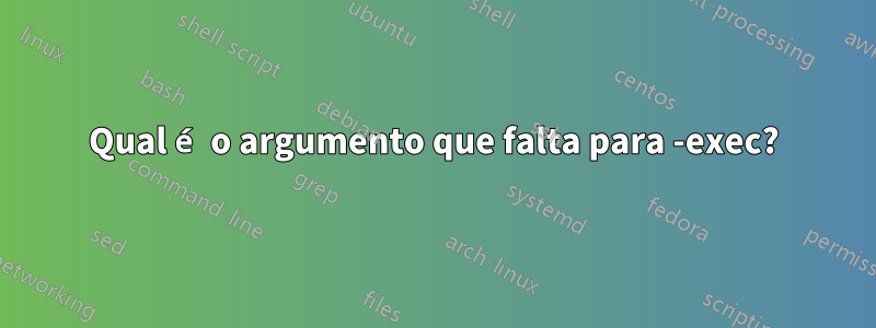 Qual é o argumento que falta para -exec?