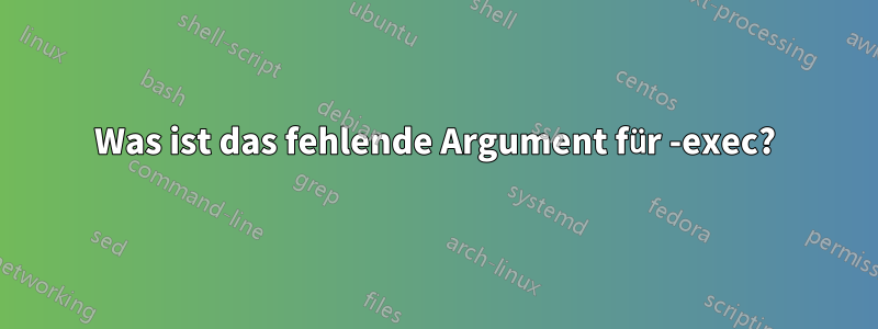 Was ist das fehlende Argument für -exec?