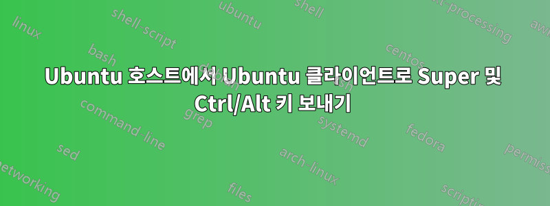 Ubuntu 호스트에서 Ubuntu 클라이언트로 Super 및 Ctrl/Alt 키 보내기