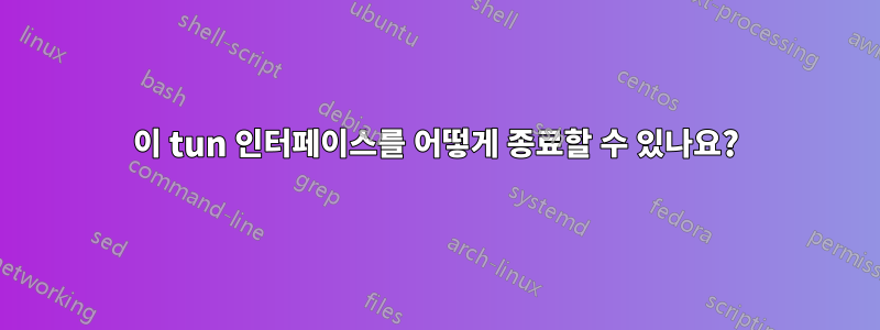 이 tun 인터페이스를 어떻게 종료할 수 있나요?