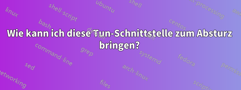 Wie kann ich diese Tun-Schnittstelle zum Absturz bringen?