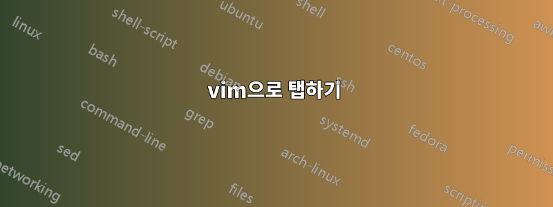 vim으로 탭하기