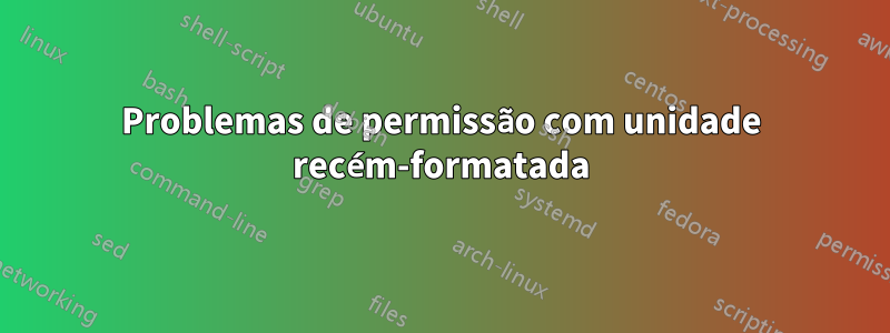 Problemas de permissão com unidade recém-formatada