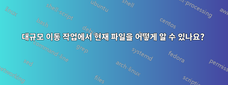 대규모 이동 작업에서 현재 파일을 어떻게 알 수 있나요?