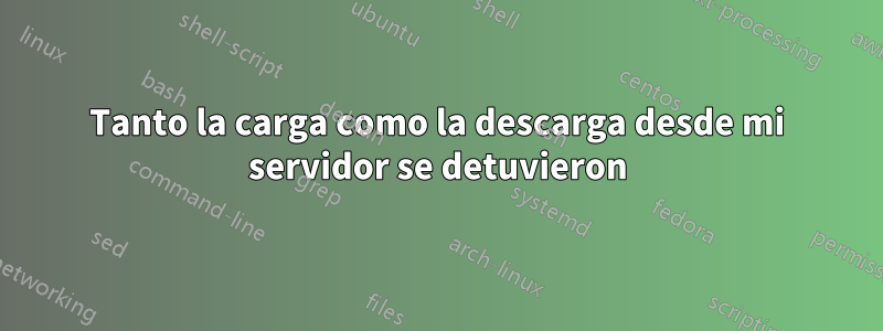 Tanto la carga como la descarga desde mi servidor se detuvieron