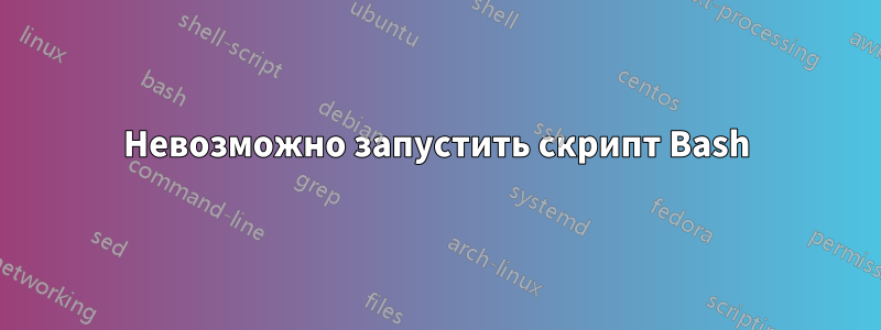 Невозможно запустить скрипт Bash