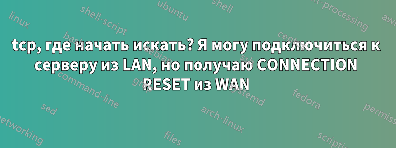 tcp, где начать искать? Я могу подключиться к серверу из LAN, но получаю CONNECTION RESET из WAN
