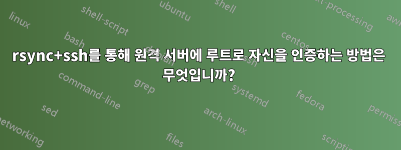 rsync+ssh를 통해 원격 서버에 루트로 자신을 인증하는 방법은 무엇입니까?