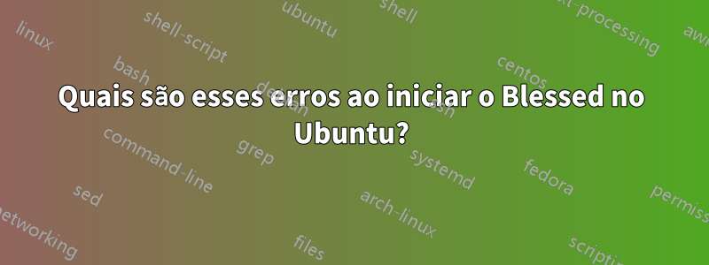 Quais são esses erros ao iniciar o Blessed no Ubuntu?
