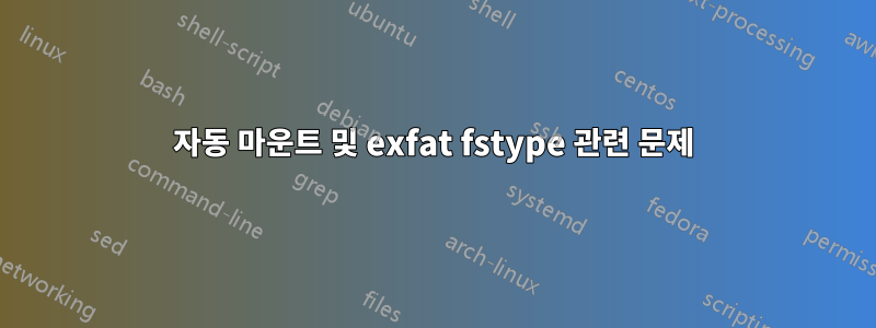 자동 마운트 및 exfat fstype 관련 문제