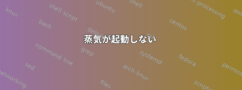蒸気が起動しない