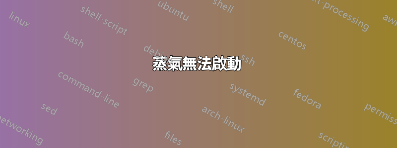 蒸氣無法啟動