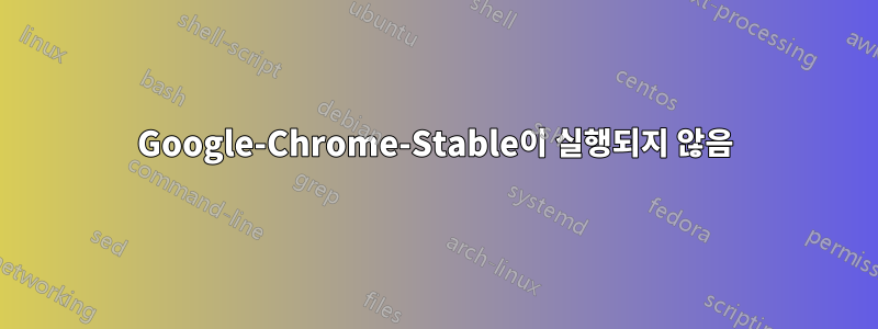 Google-Chrome-Stable이 실행되지 않음
