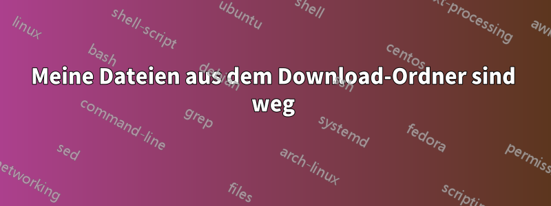 Meine Dateien aus dem Download-Ordner sind weg