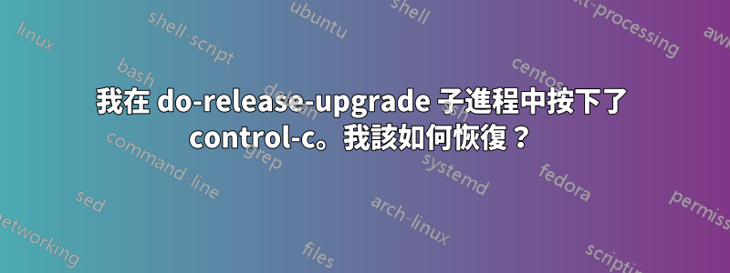 我在 do-release-upgrade 子進程中按下了 control-c。我該如何恢復?