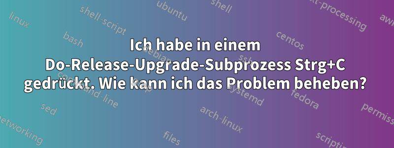 Ich habe in einem Do-Release-Upgrade-Subprozess Strg+C gedrückt. Wie kann ich das Problem beheben?