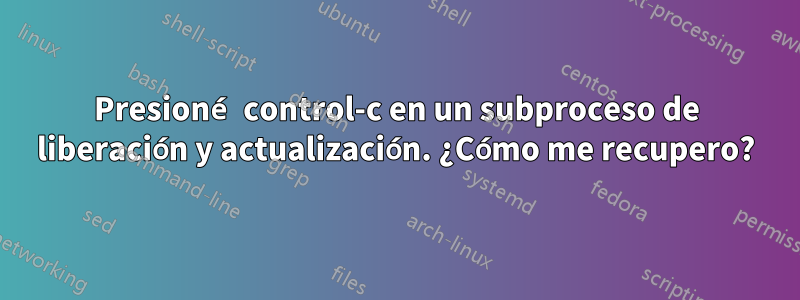 Presioné control-c en un subproceso de liberación y actualización. ¿Cómo me recupero?