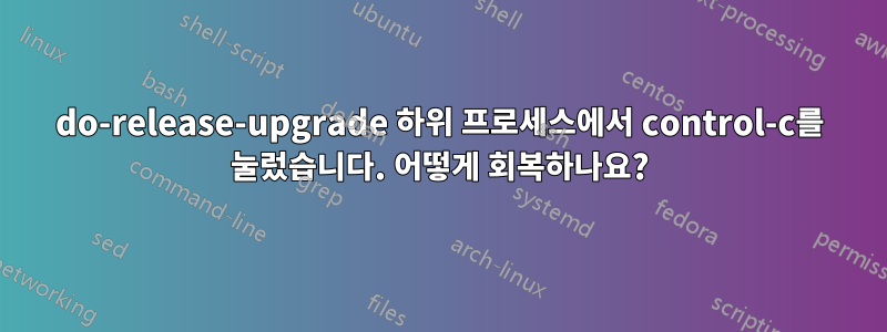 do-release-upgrade 하위 프로세스에서 control-c를 눌렀습니다. 어떻게 회복하나요?